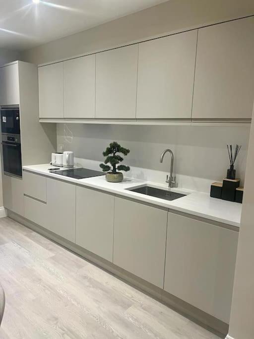New Flat In Holland Park Apartman London Kültér fotó